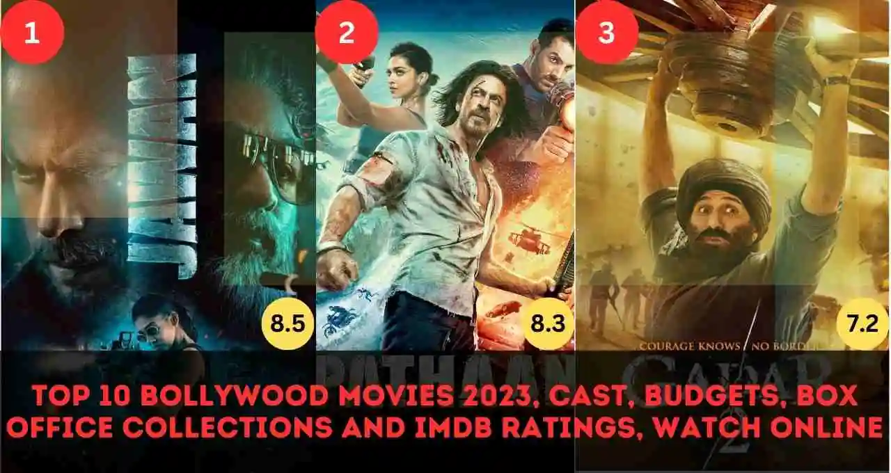 Top 10 Bollywood Movies 2023, Cast, Budgets, Box Office Collections and IMDb Ratings, Watch Online